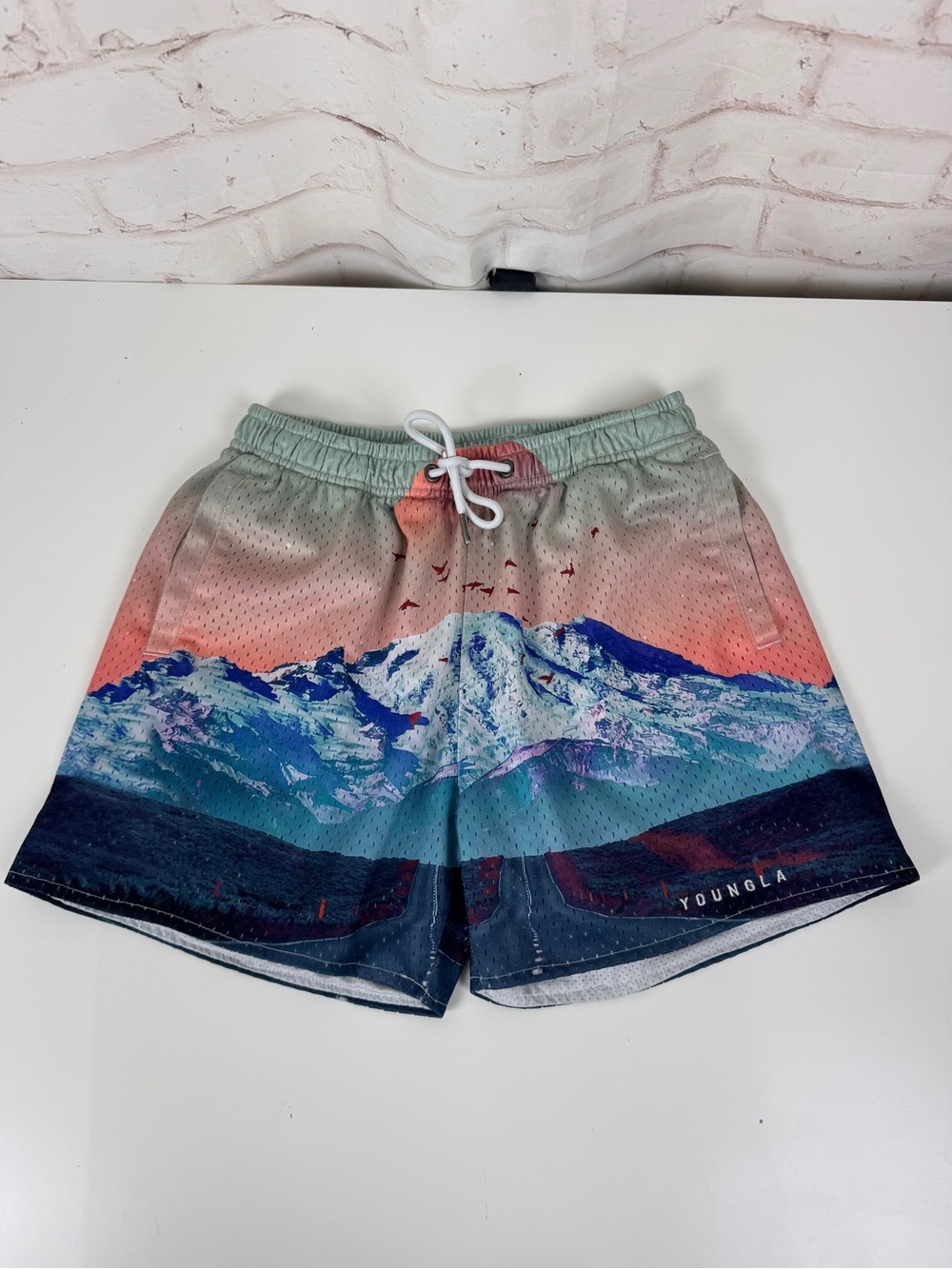 YoungLa Mystic Mountain After party Gym Shorts Size Small